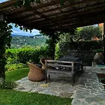 Peace And Nature