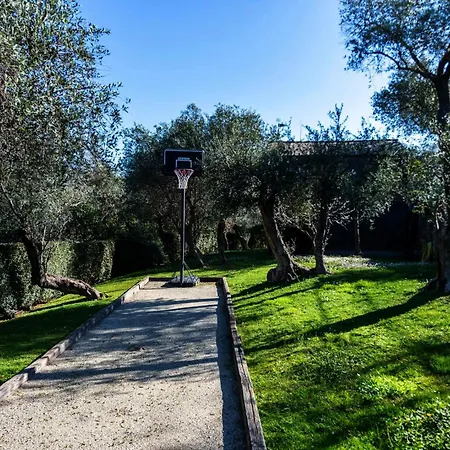 Peace And Nature