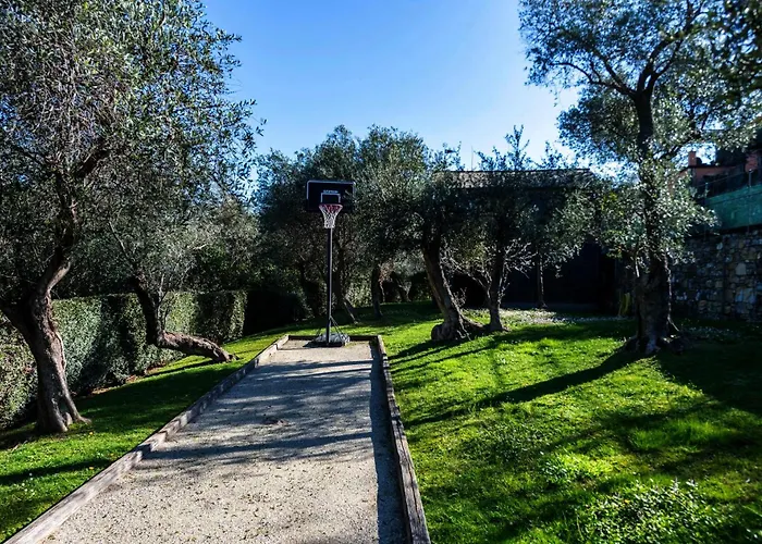 Peace And Nature
